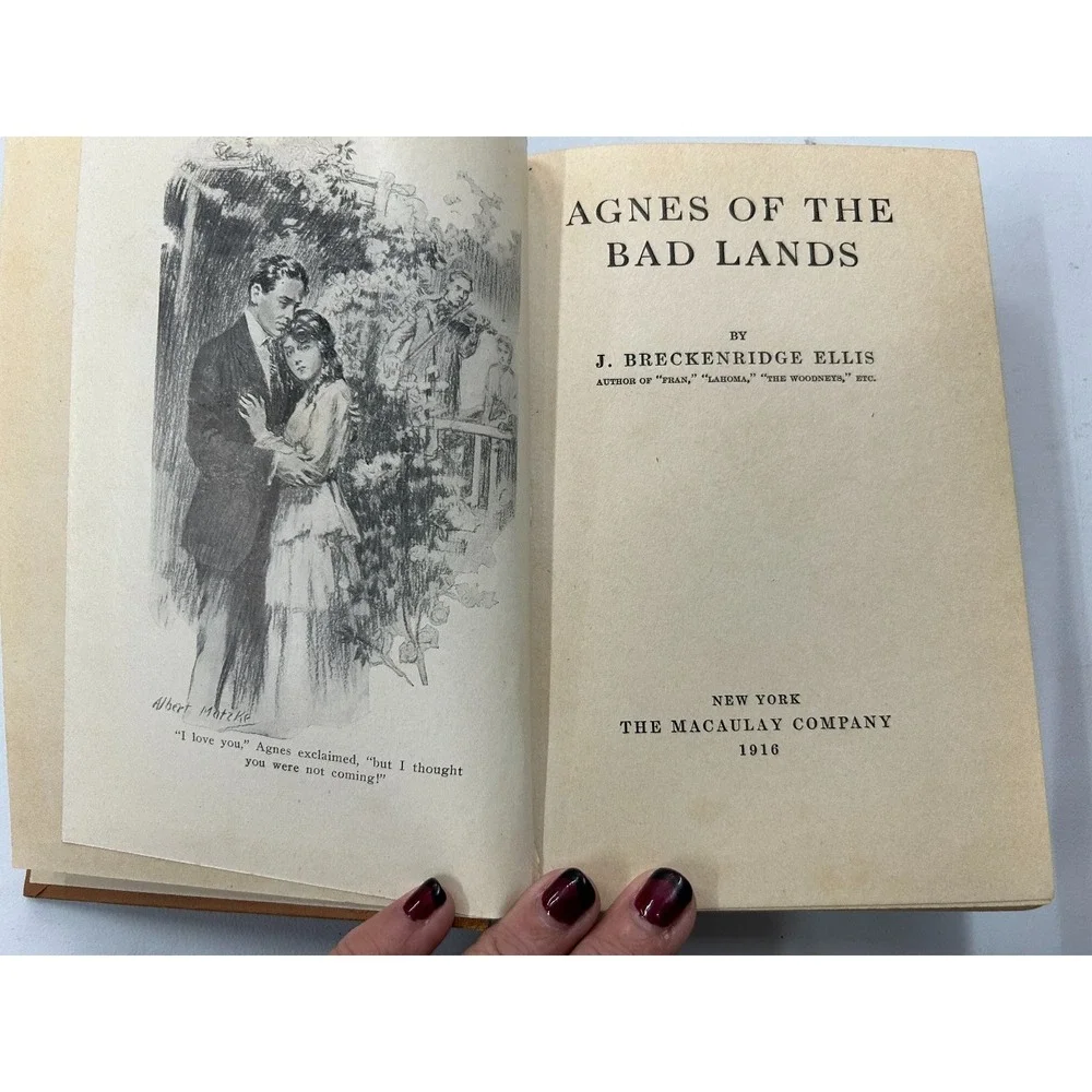 Agnes of the Badlands J. Breckenridge Ellis‎ 1916 Illustrated Fiction Macaulay